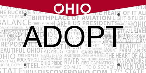 ADOPT Ohio License Plate