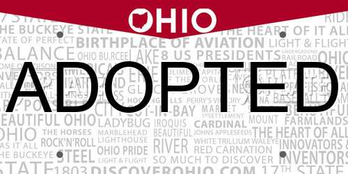 ADOPTED Ohio License Plate