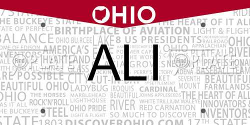 ALI Ohio License Plate