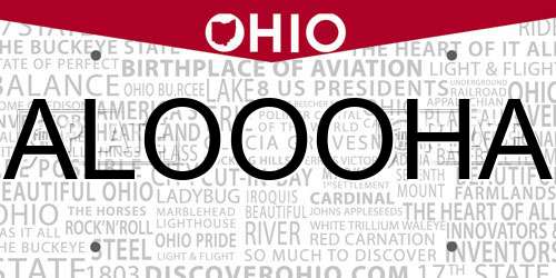ALOOOHA Ohio License Plate