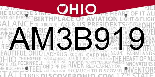 AM3B919 Ohio License Plate