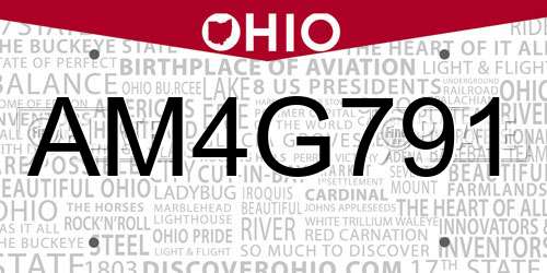 AM4G791 Ohio License Plate