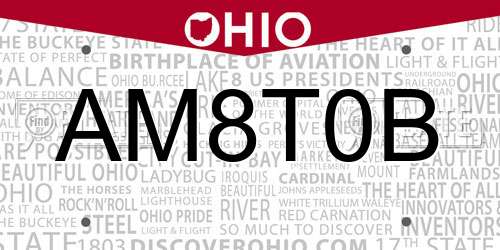AM8T0B Ohio License Plate