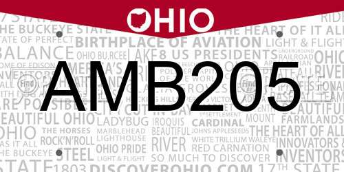 AMB205 Ohio License Plate