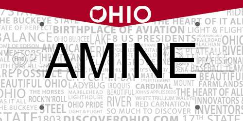 AMINE Ohio License Plate