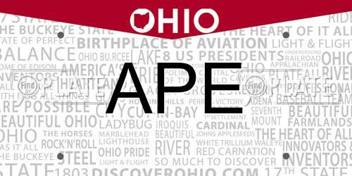 APE Ohio License Plate