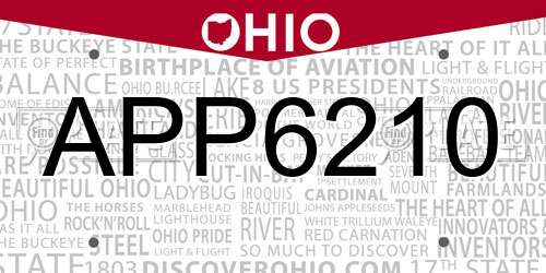 APP6210 Ohio License Plate