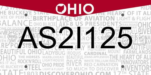AS2I125 Ohio License Plate