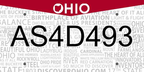 AS4D493 Ohio License Plate