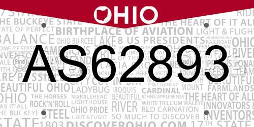 AS62893 Ohio License Plate