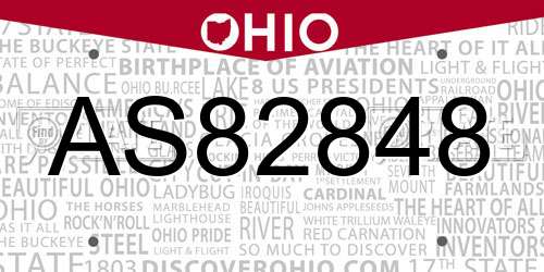 AS82848 Ohio License Plate
