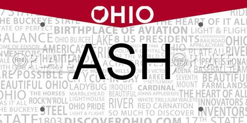 ASH Ohio License Plate