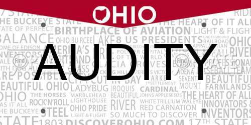 AUDITY Ohio License Plate