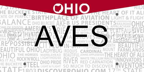 AVES Ohio License Plate