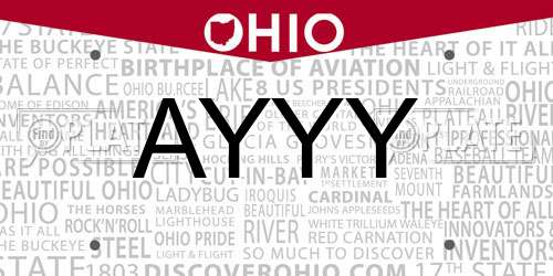 AYYY Ohio License Plate
