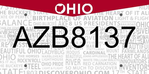 AZB8137 Ohio License Plate