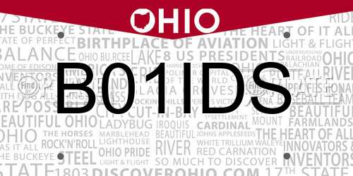 B01IDS Ohio License Plate