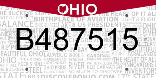 B487515 Ohio License Plate
