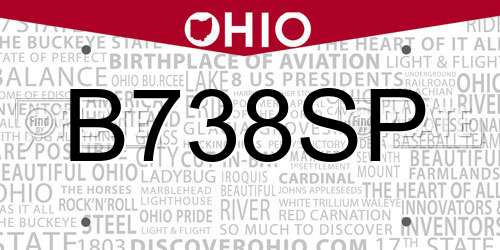 B738SP Ohio License Plate