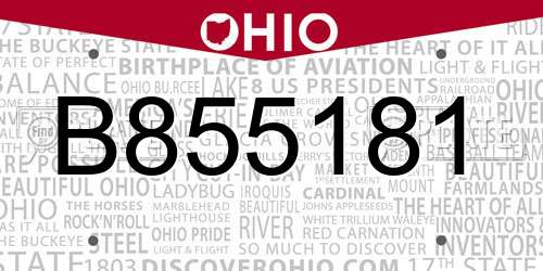 B855181 Ohio License Plate