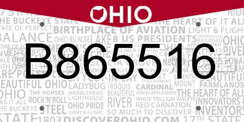 B865516 Ohio License Plate