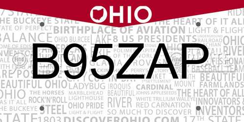B95ZAP Ohio License Plate