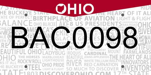 BAC0098 Ohio License Plate