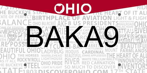 BAKA9 Ohio License Plate