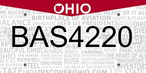 BAS4220 Ohio License Plate