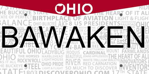 BAWAKEN Ohio License Plate