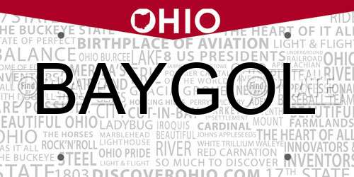 BAYGOL Ohio License Plate