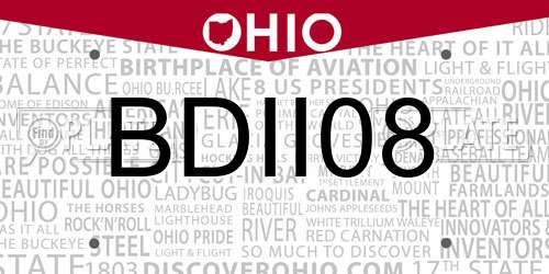 BDII08 Ohio License Plate