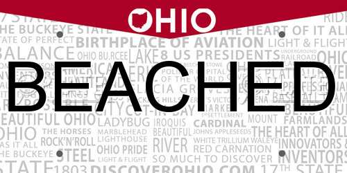 BEACHED Ohio License Plate