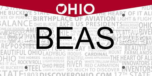 BEAS Ohio License Plate