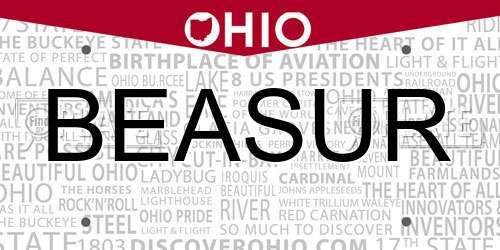 BEASUR Ohio License Plate