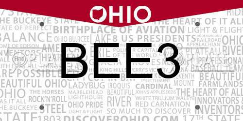 BEE3 Ohio License Plate
