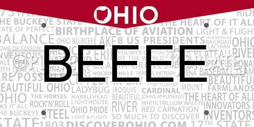 BEEEE Ohio License Plate
