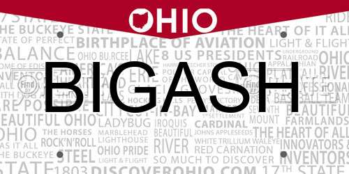 BIGASH Ohio License Plate