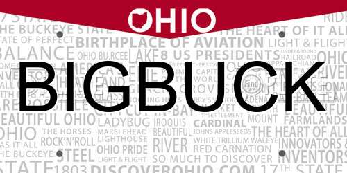 BIGBUCK Ohio License Plate