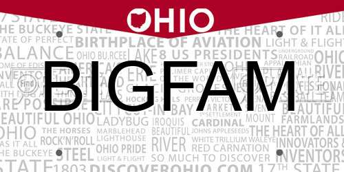 BIGFAM Ohio License Plate