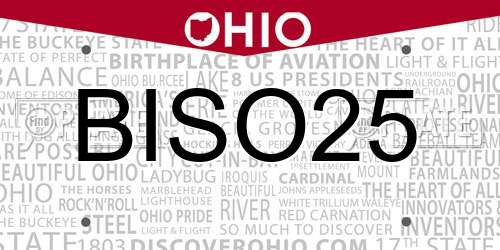 BISO25 Ohio License Plate