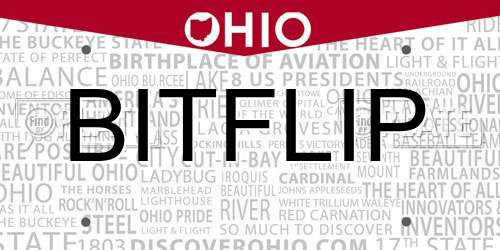 BITFLIP Ohio License Plate