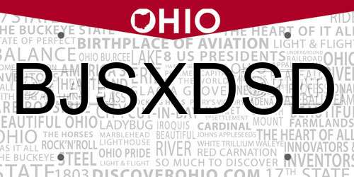 BJSXDSD Ohio License Plate