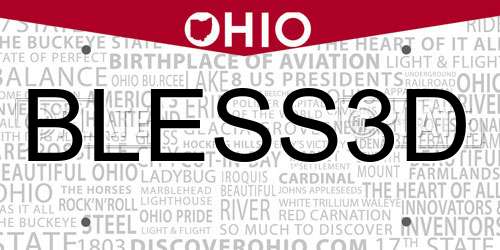 BLESS3D Ohio License Plate
