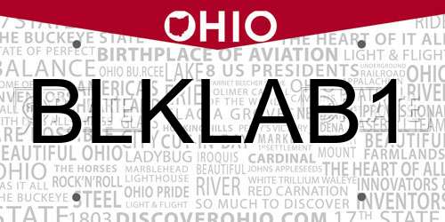 BLKLAB1 Ohio License Plate
