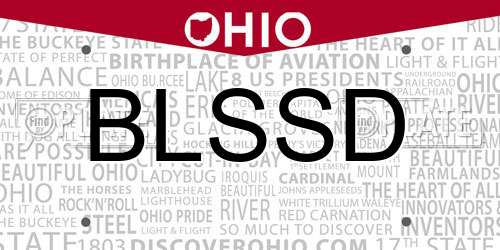 BLSSD Ohio License Plate