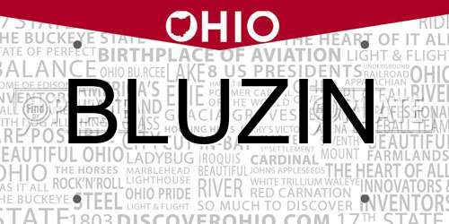 BLUZIN Ohio License Plate