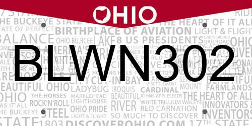 BLWN302 Ohio License Plate