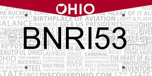BNRI53 Ohio License Plate