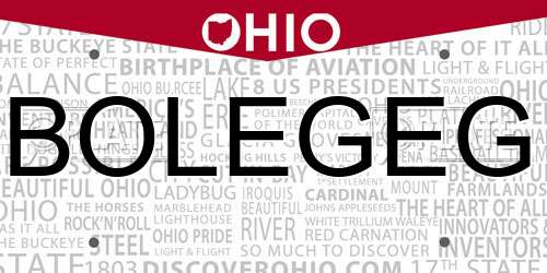 BOLEGEG Ohio License Plate